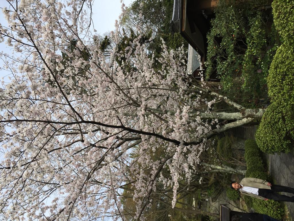 Ryokan Uemura Кіото Екстер'єр фото