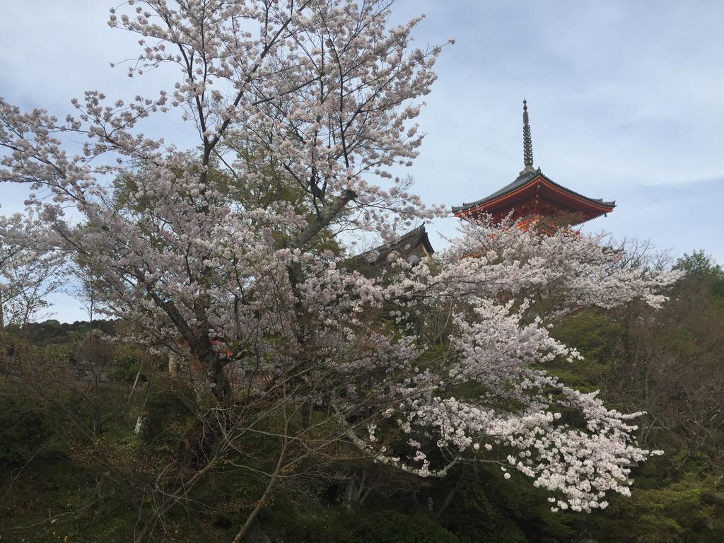 Ryokan Uemura Кіото Екстер'єр фото